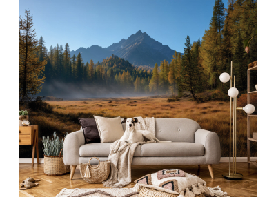 Снимка на фототапет